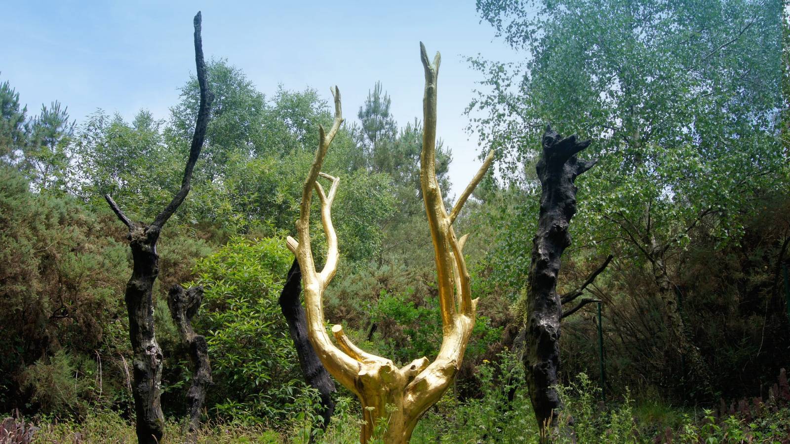 foret-broceliande